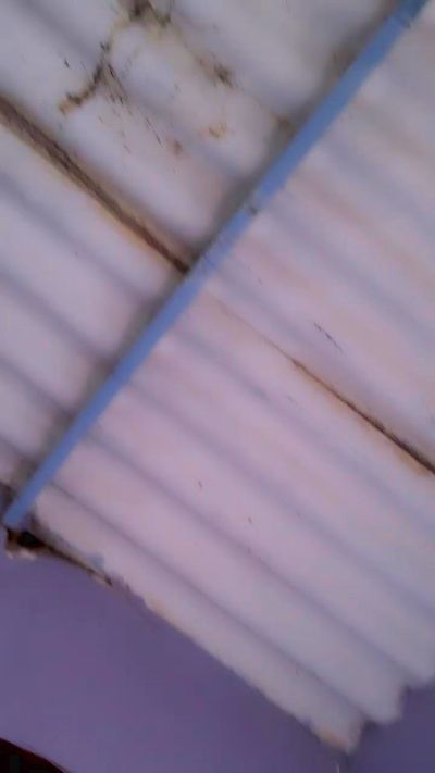 Electra_porn from Italy