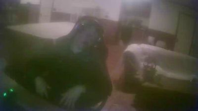 hispanicstud from United States
