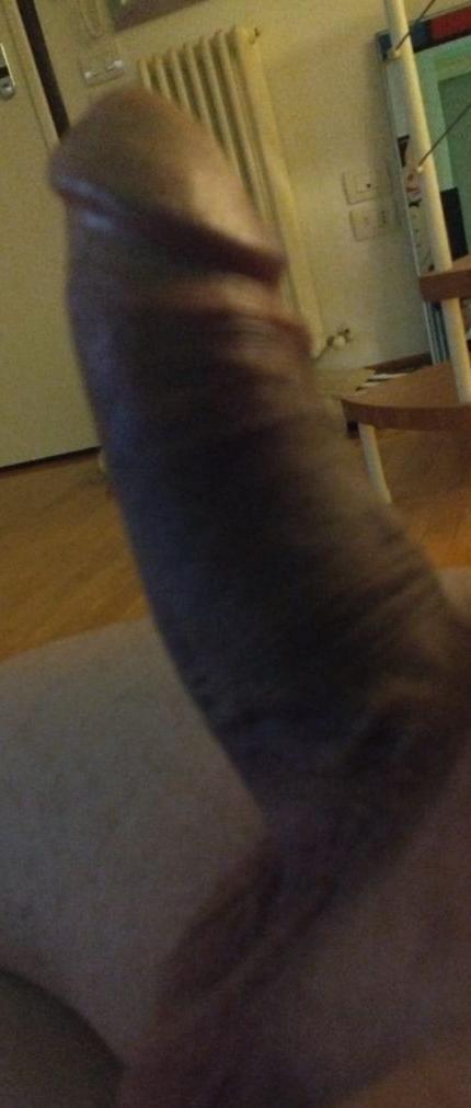 milkpigcum from Italy