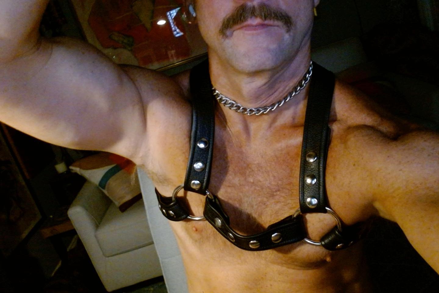 seatex from United States